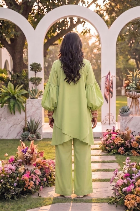 2Pcs Plain Unstitched Soft Cotton Suit Desgin - 5