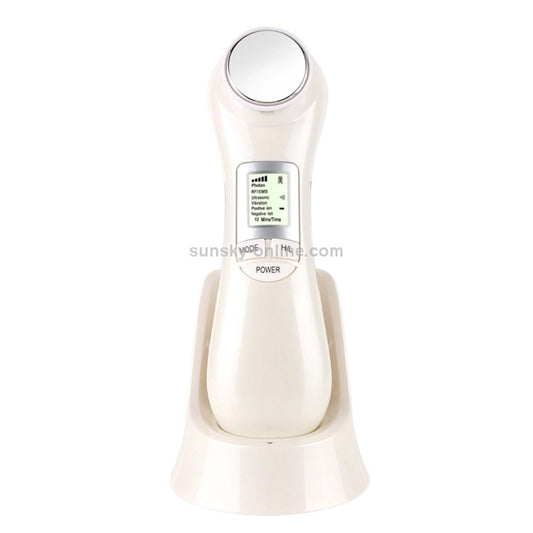Face Skin EMS Mesotherapy Facial Device for Lifting Tightening and Skin Rejuvenation