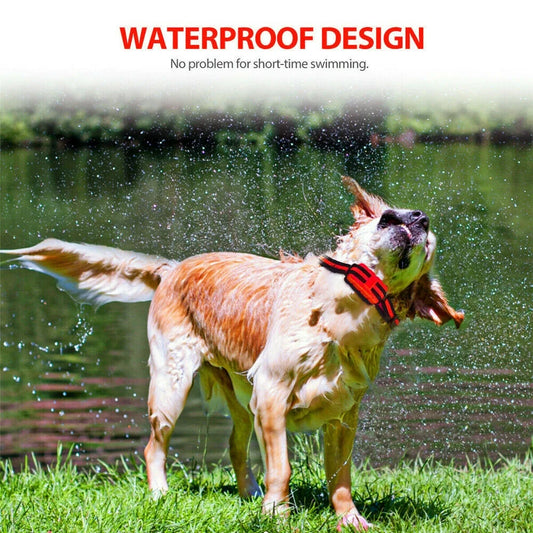 Dog Training Collar – Adjustable Remote Control Collar for Safe Pet Training