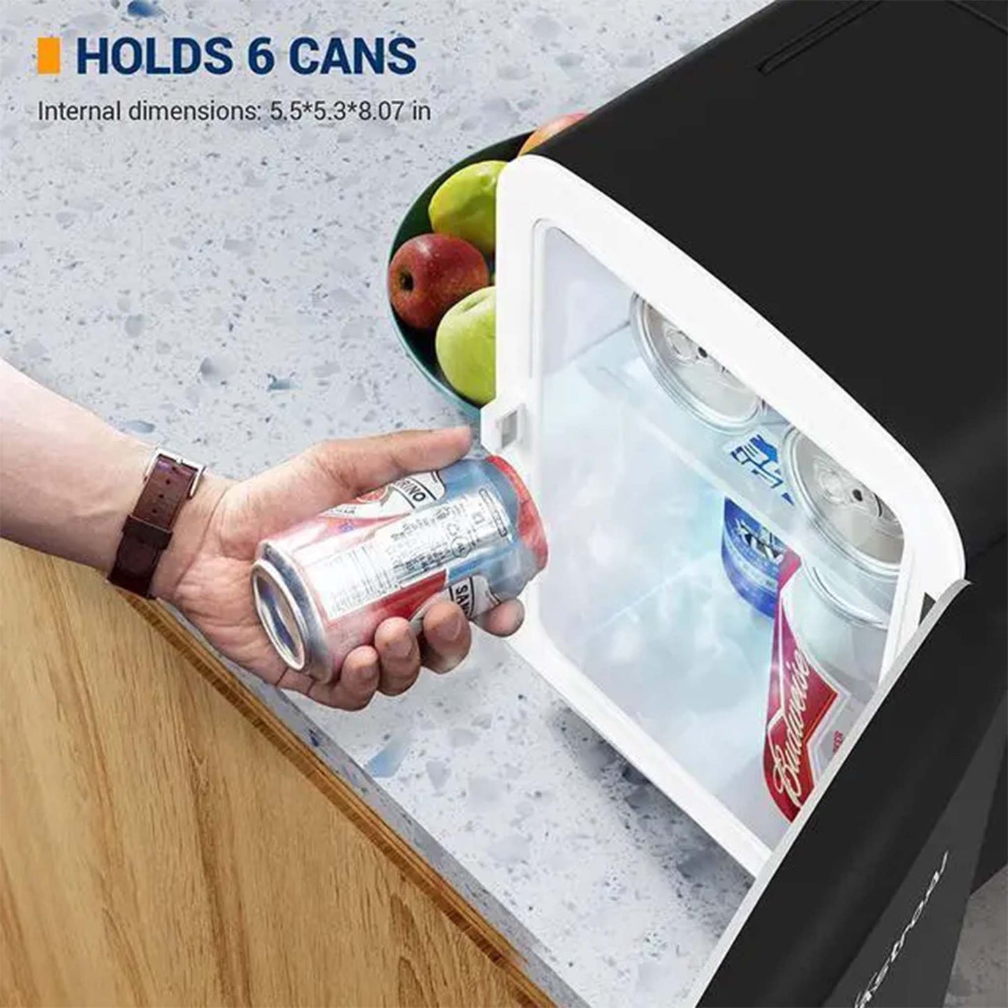 Portable Mini Refrigerator Compact Cooler and Warmer for Home Office and Travel