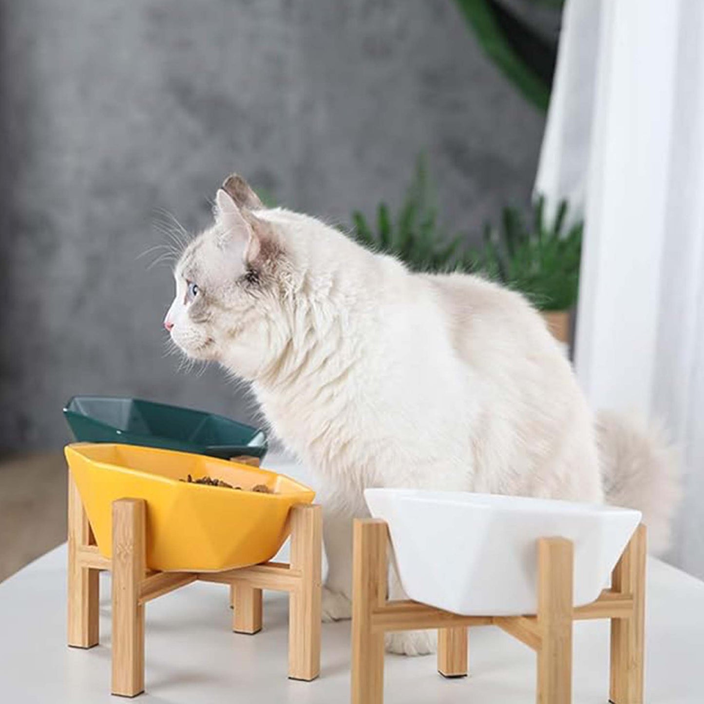 CatDog Food Ceramic Bowl White