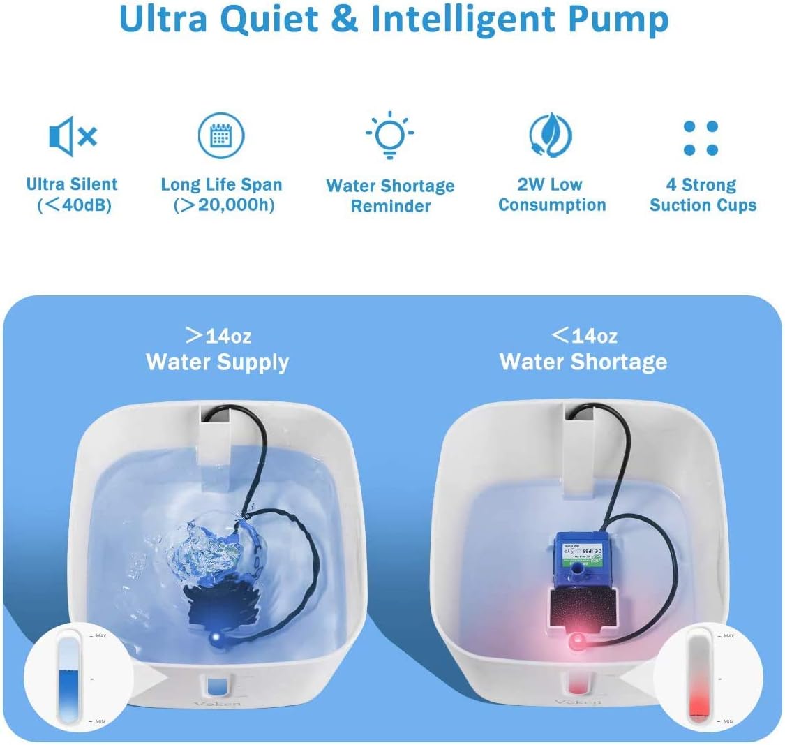 Colourful Pet Drinking Fountain