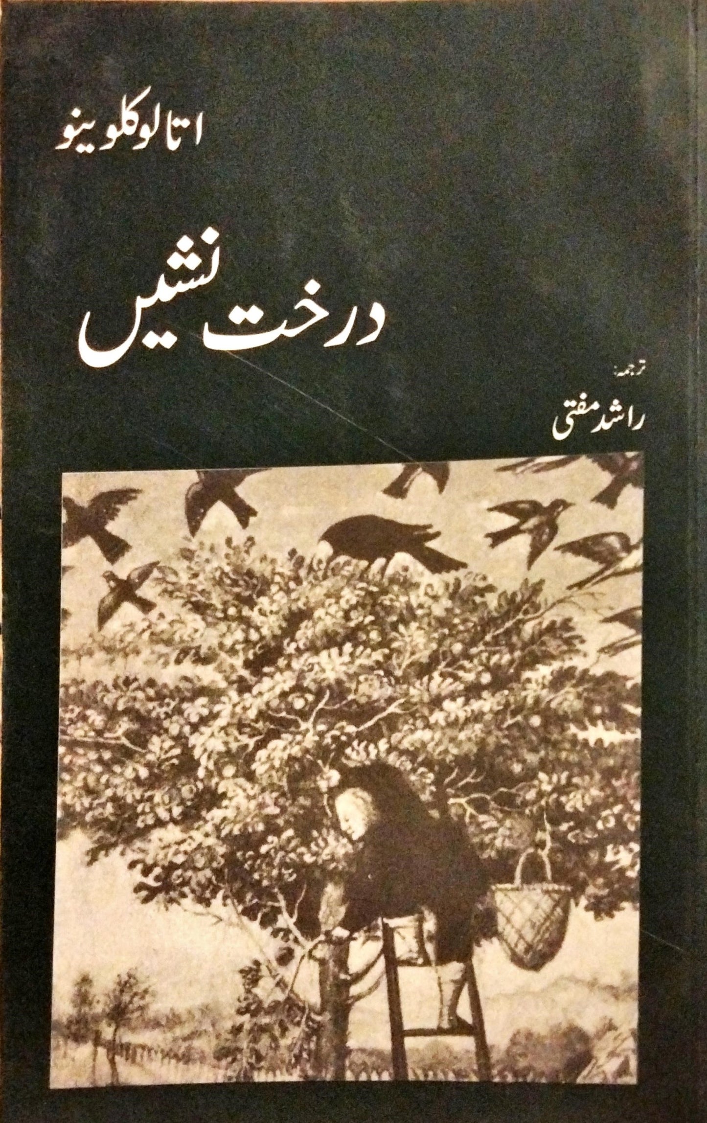 درخت نشیں
