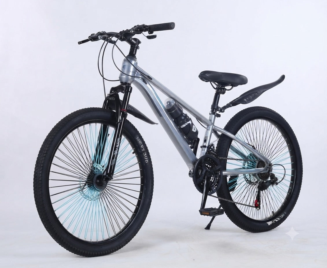 Silver Spoke Mountain Bicycle