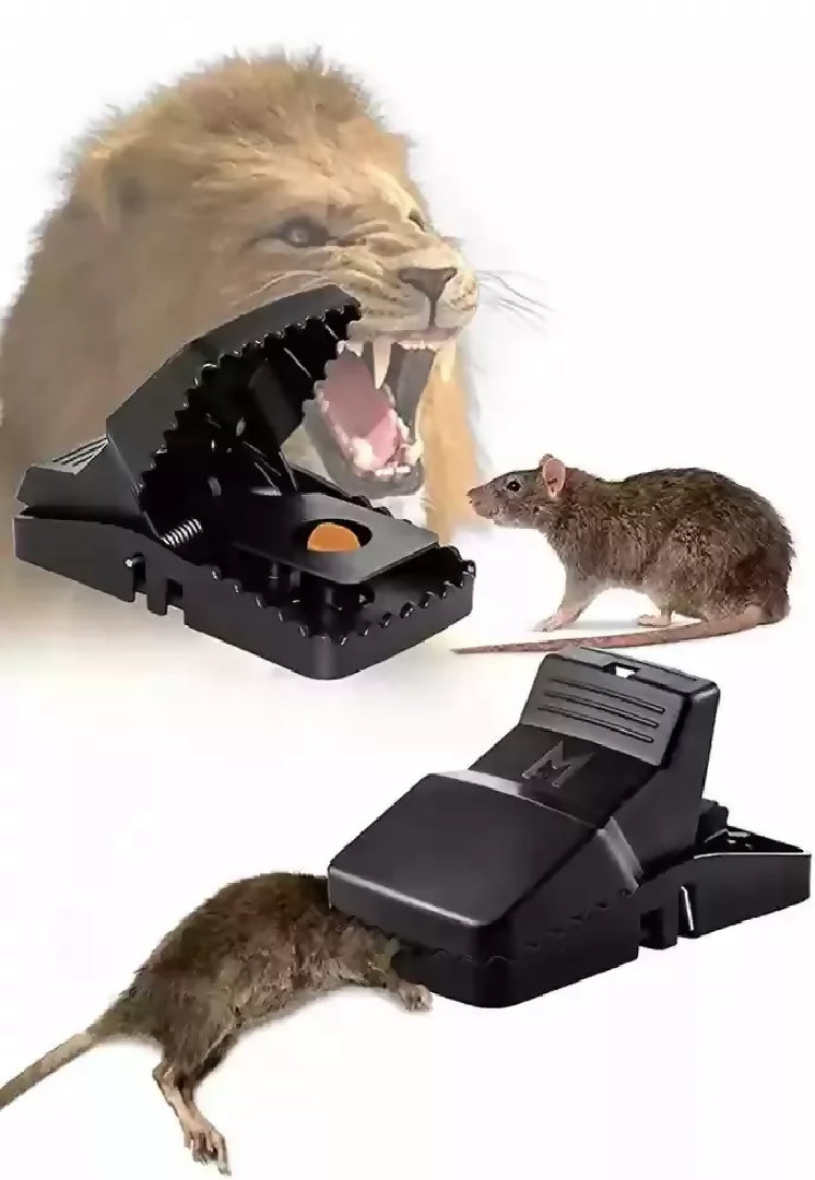 Durable Mouse Trap Pack Of 3 - Reusable Rodent Catcher For Home Kitchen And Office Use With Strong Spring Mechanism