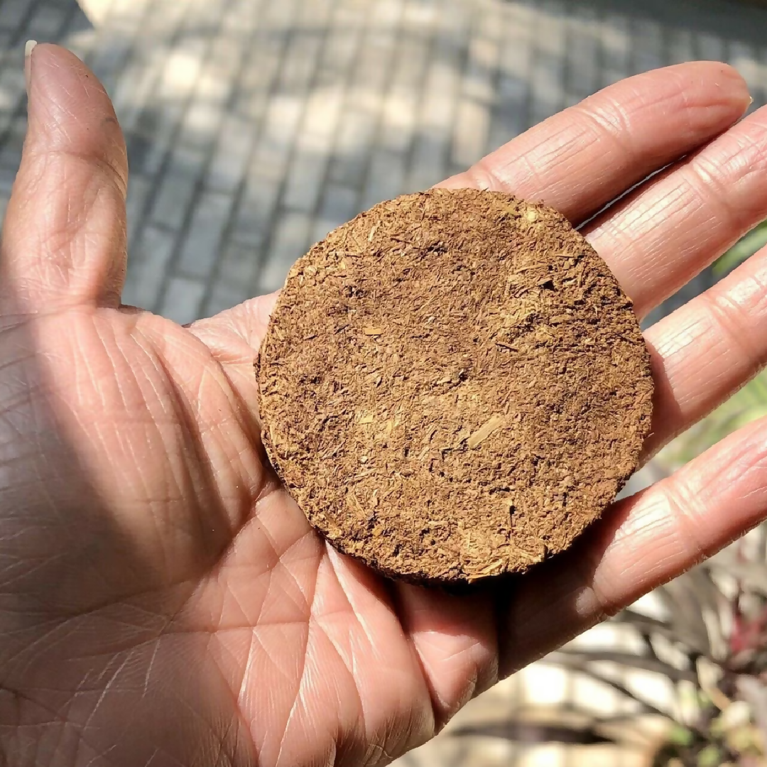 10 pieces Cow Dung Cakes for pooja Gobar Cake Cow Dung for Hawan puja Gobar Upla