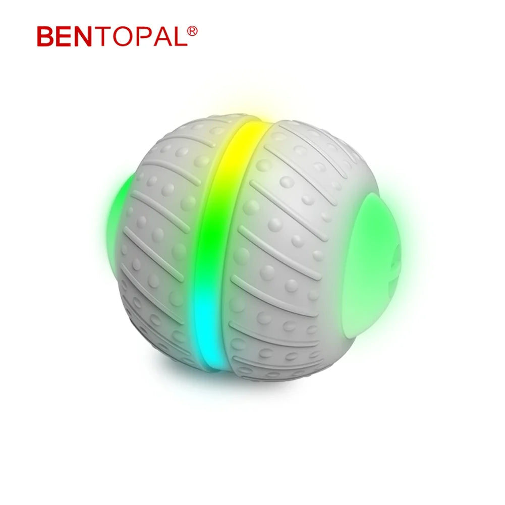 Smart Ball Pet Toy