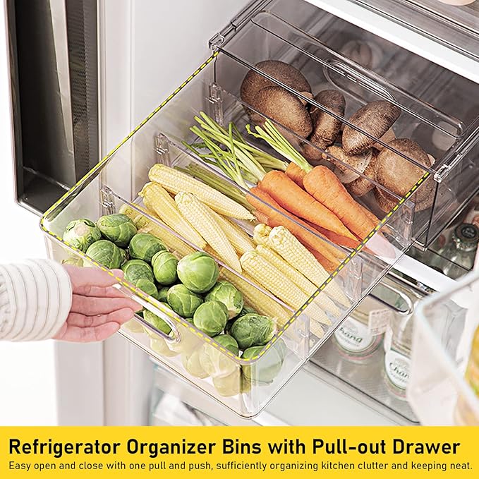 Refrigrator Organizer