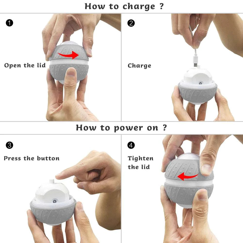 Smart Ball Pet Toy