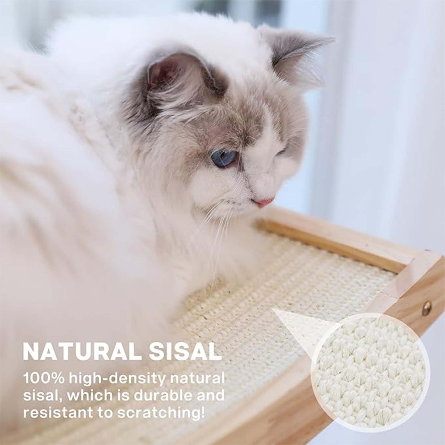 Cat Window Perch  Hammock  Strong Suction Cup
