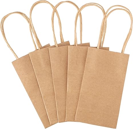 Craft Brown Paper Bags