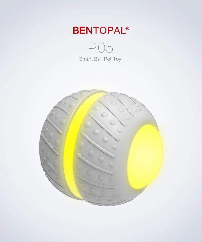 Smart Ball Pet Toy