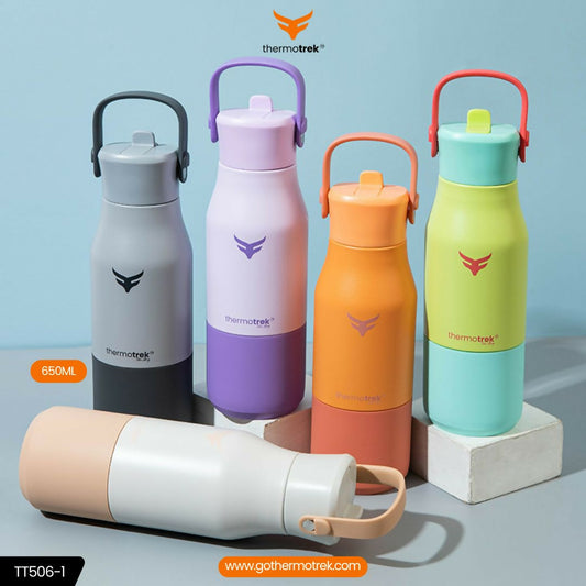 Thermotrek BAHAMA Handle Vacuum Insulated Stainless Steel Bottle — 650ml 1 Piece