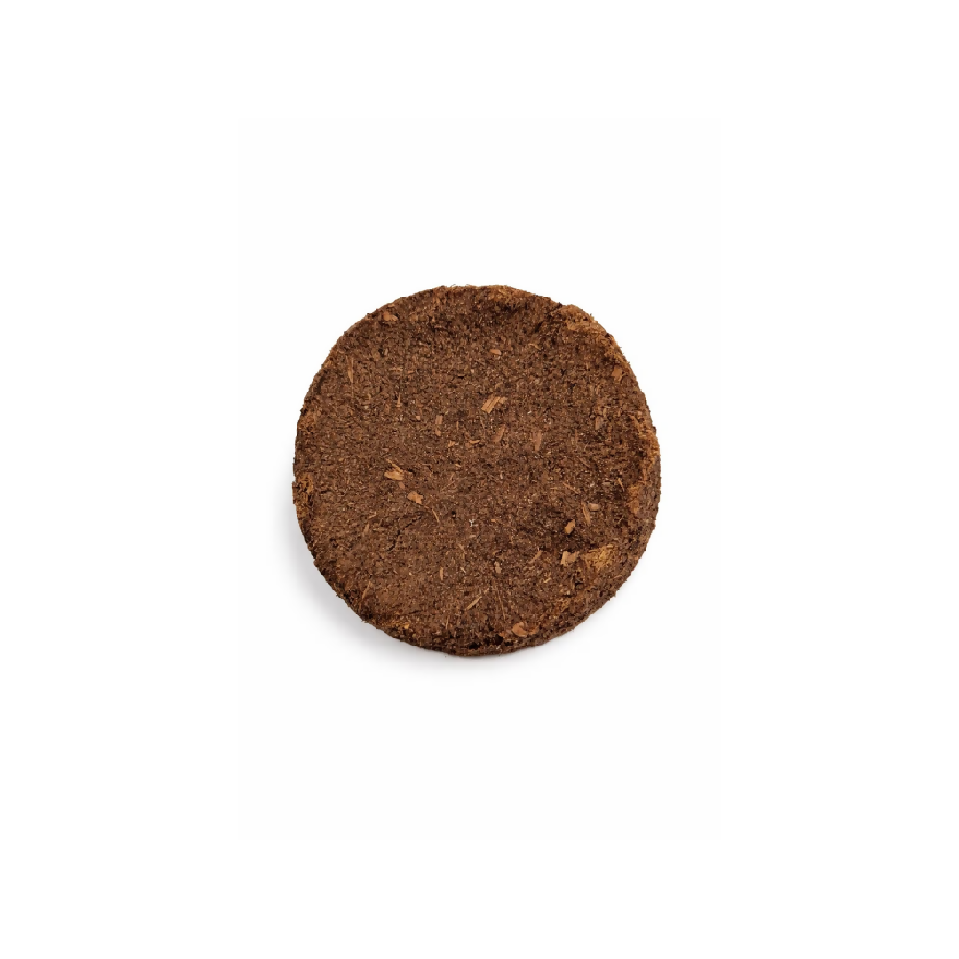 10 pieces Cow Dung Cakes for pooja Gobar Cake Cow Dung for Hawan puja Gobar Upla