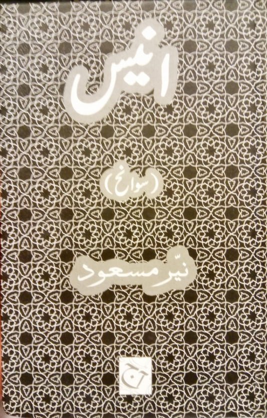 انیس