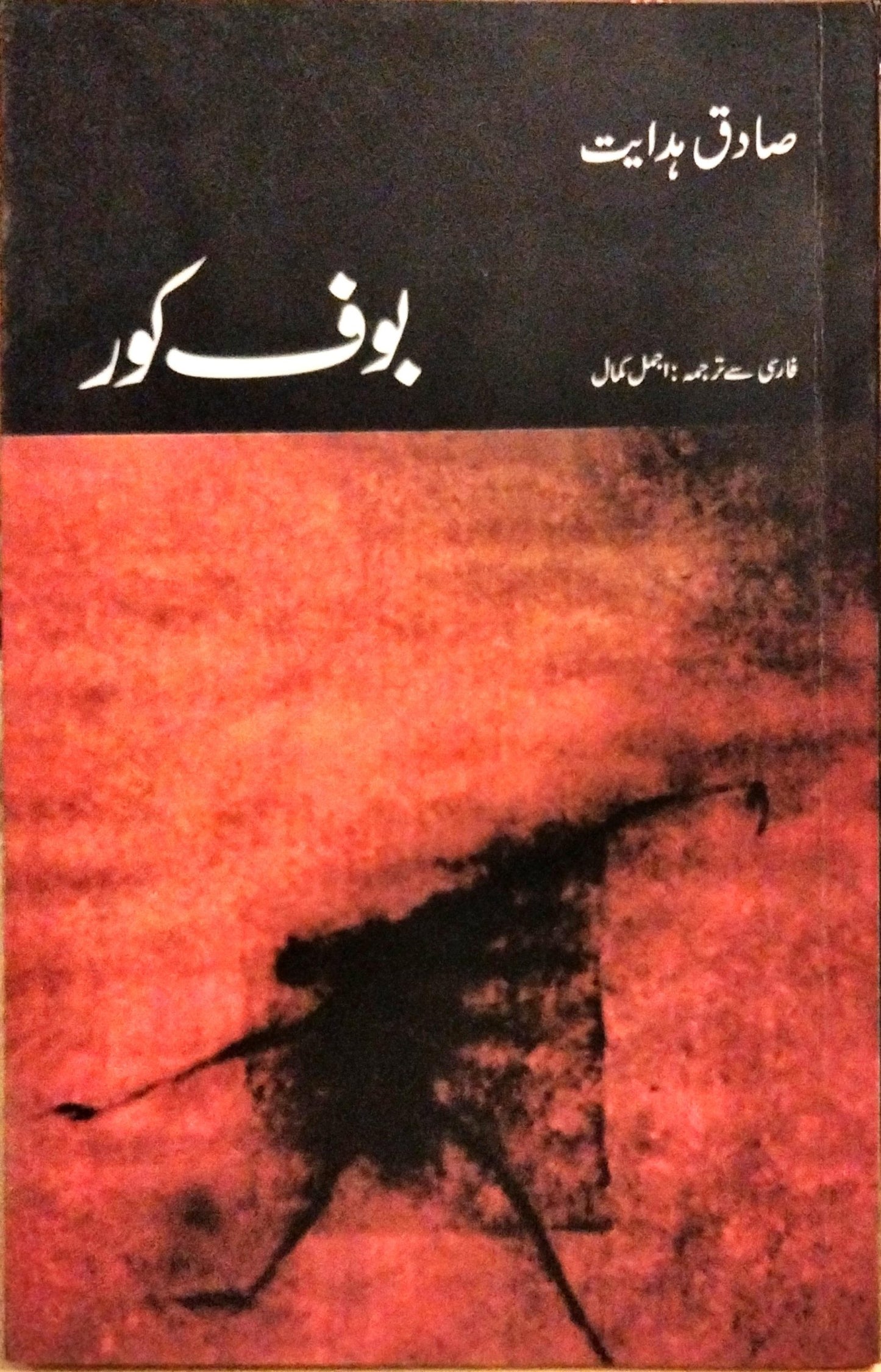 بوف کور