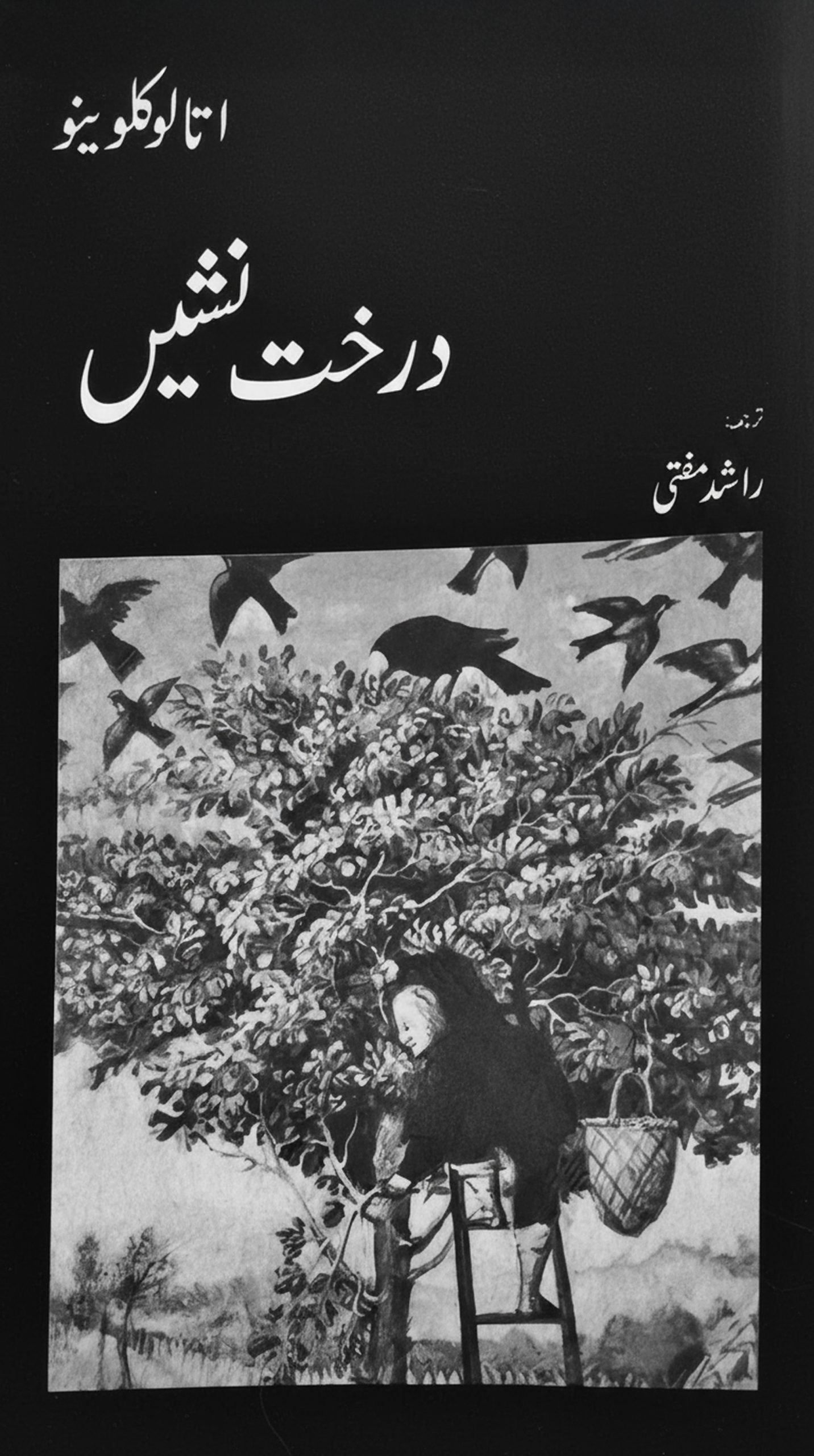 درخت نشیں