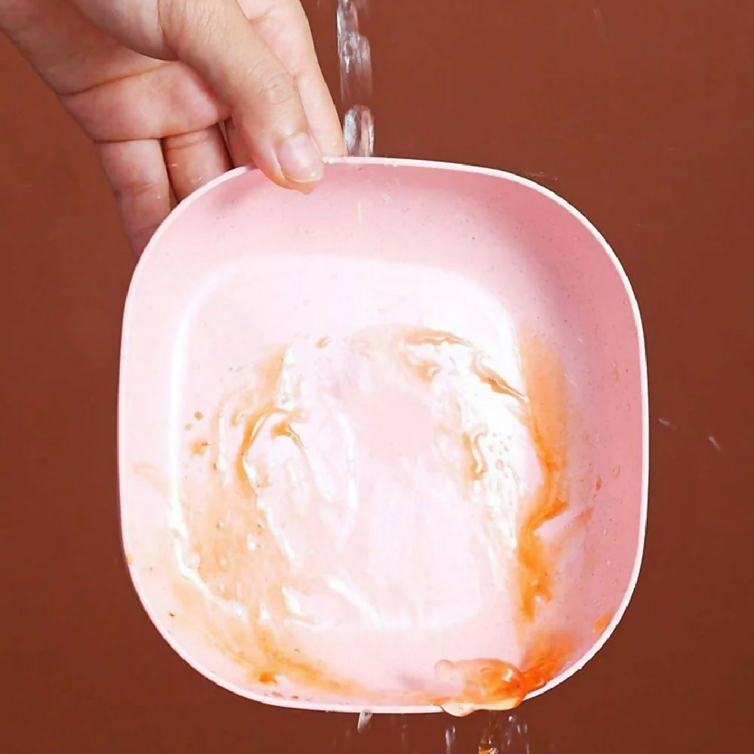 Plate Set Pack of 10 - Plastic Split Bone Dish Plates with Holder - Durable Serving Plates