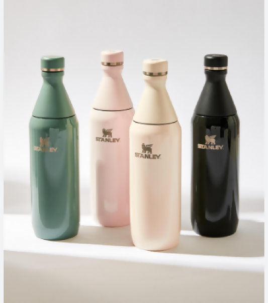 STANLEY - Like All Day Slim Water Bottle 600ml