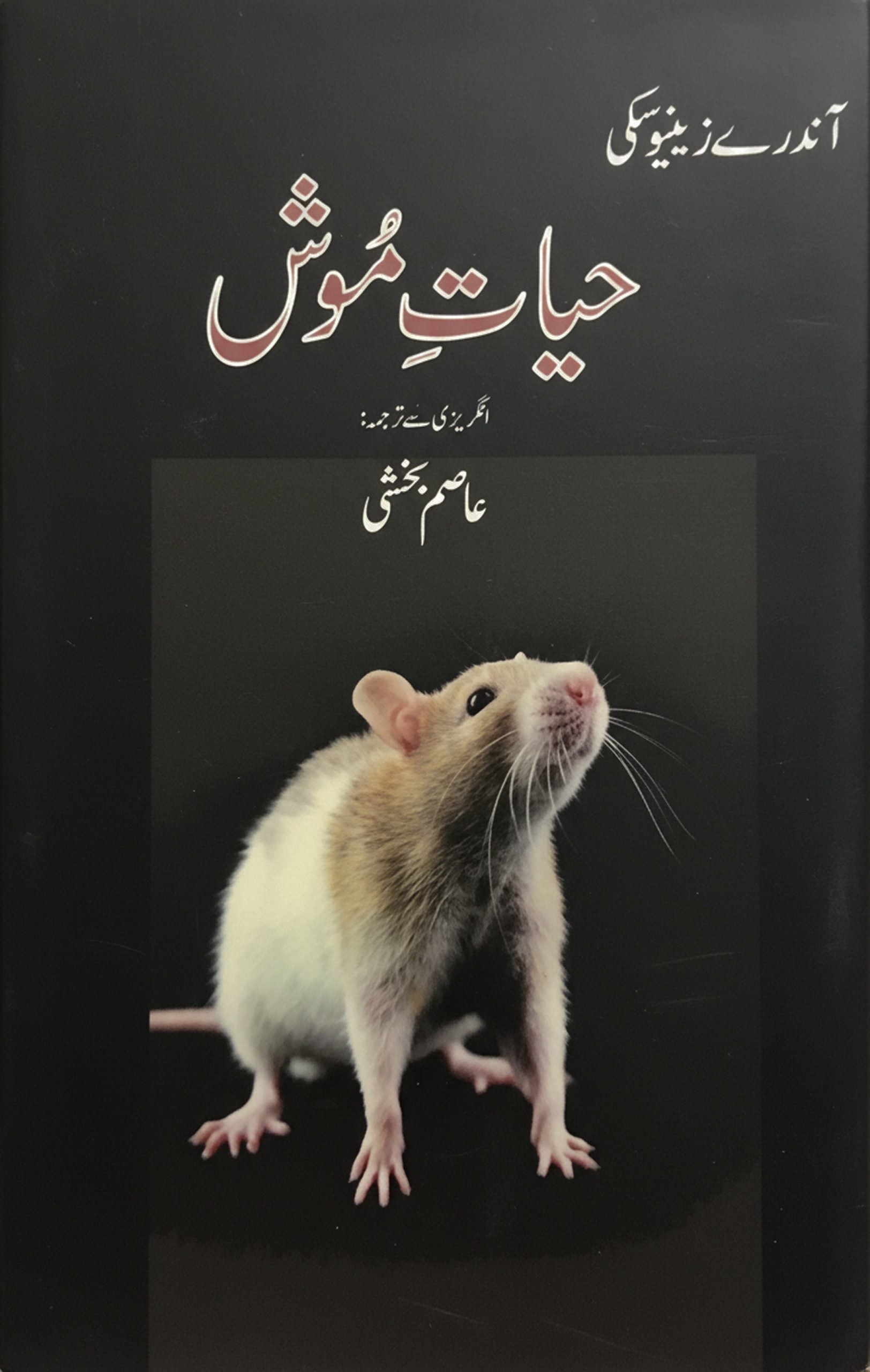 حیات موش