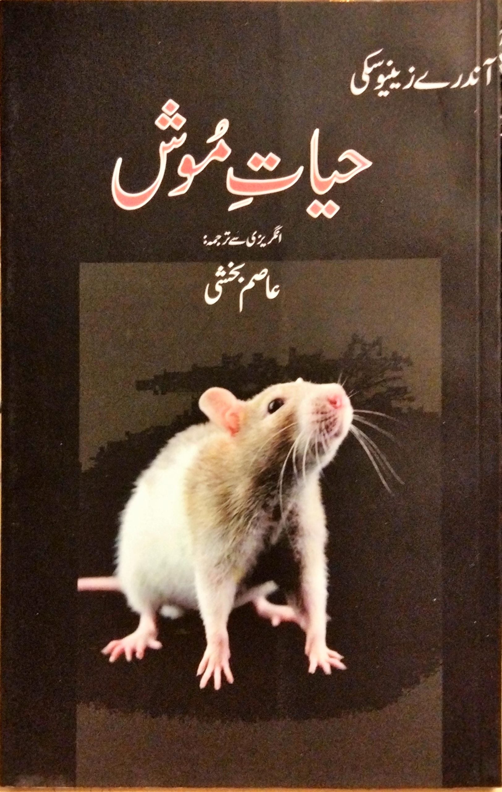 حیات موش
