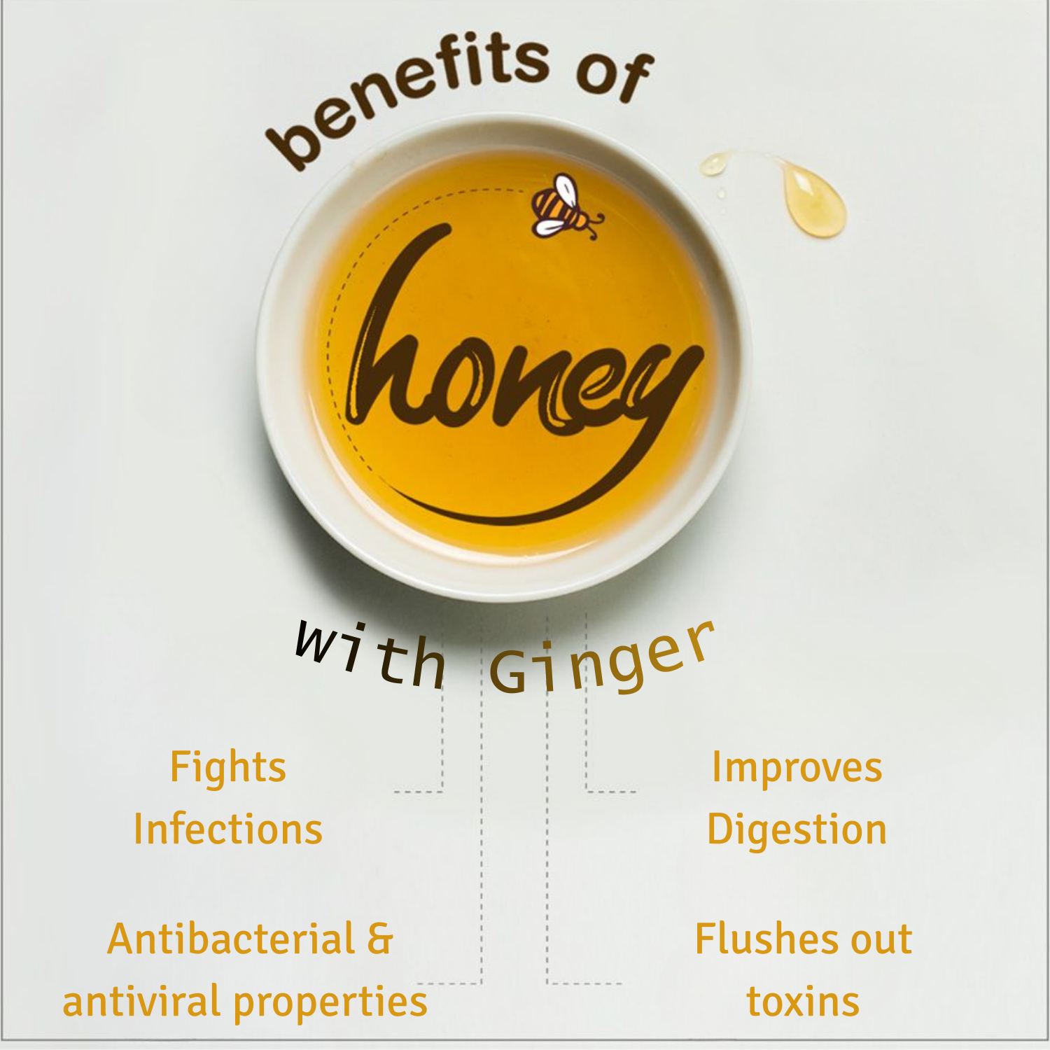 Honey Spoon - Ginger