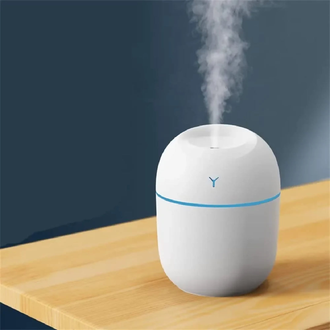 Air Humidifier Usb Small Mini Portable Cool Mist Diff user