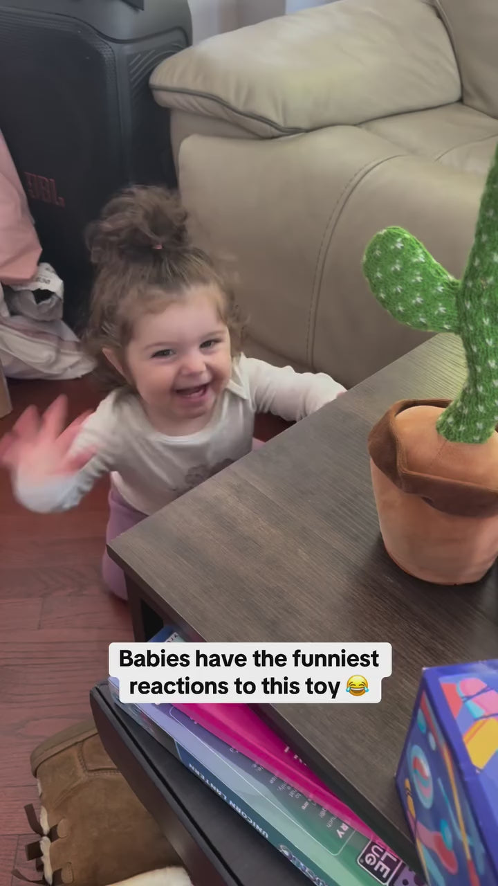 Dancing Cactus Toy - Talking Cactus - Tree Cactus Plush Toy for Children Kids Toddlers - Rechargeable Cactus Toys For Kids - With Box - With Cap