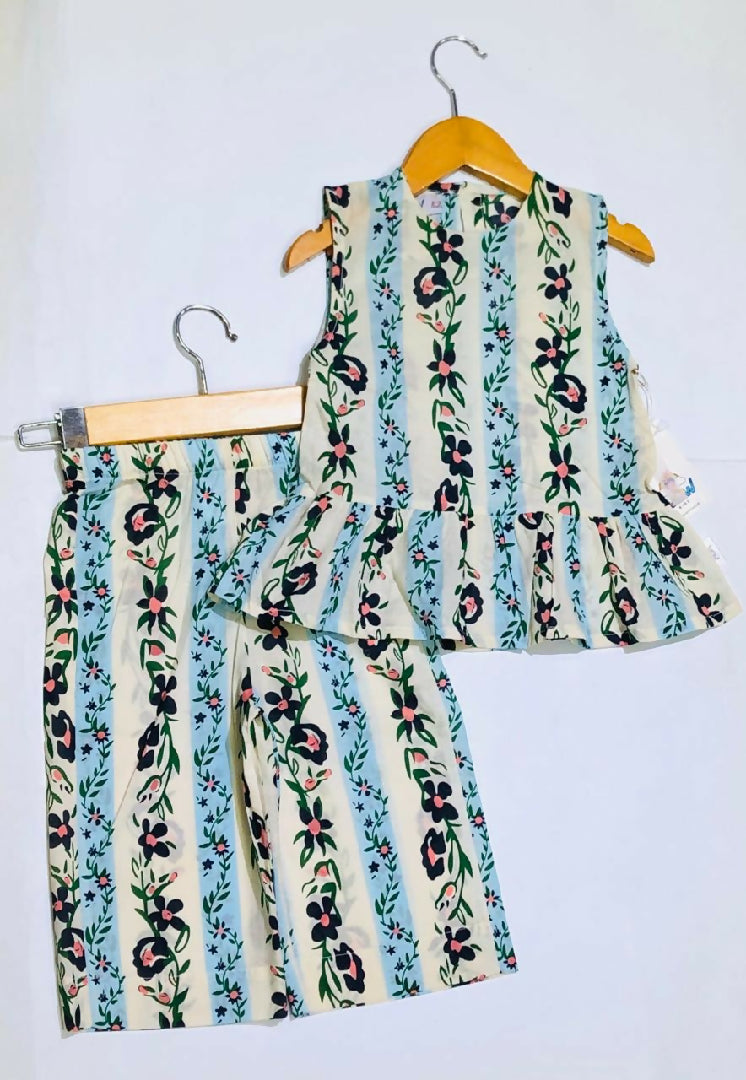 Baby girls 2 pc
